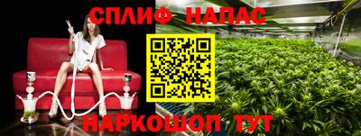 прущие грибы Краснокаменск